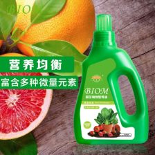 营养液液体花肥 室内植物的智慧之选